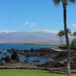 Meet your Posher, Leia